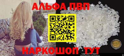 твердый Кингисепп