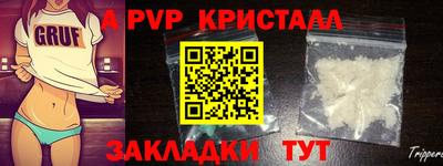 твердый Кингисепп