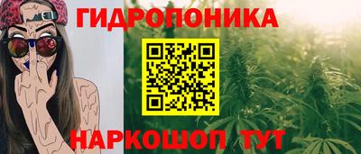 твердый Кингисепп