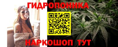 твердый Кингисепп