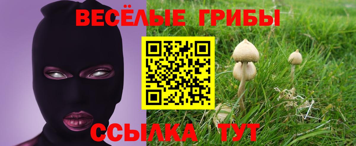 Псилоцибиновые грибы Psilocybine cubensis  Псилоцибиновые грибы Psilocybe  Домодедово  Вход с VPN 
